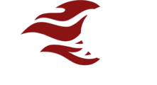 strikeacademy